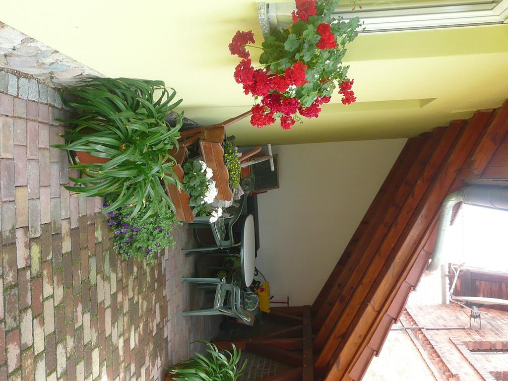 Landurlaub In Schiebsdorf Apartment Kasel-Golzig Ngoại thất bức ảnh